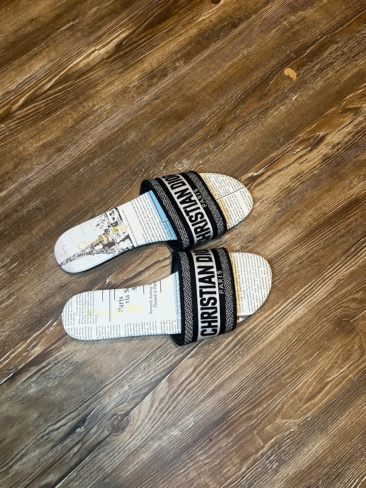 Dior Dway news paper slides